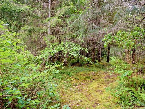 5982 Mayo Rd, Lake Cowichan, BC 