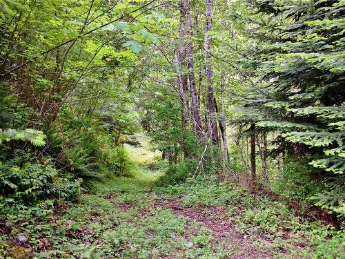 5982 Mayo Rd, Lake Cowichan, BC 