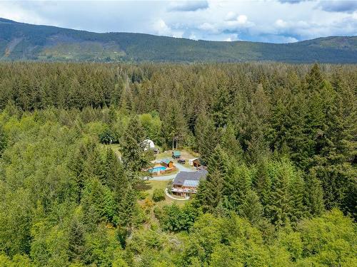 5982 Mayo Rd, Lake Cowichan, BC 