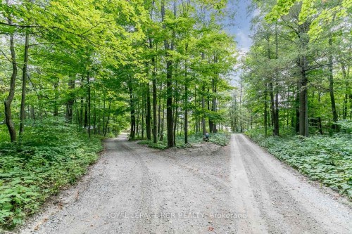 16365 Bathurst Street, Newmarket, ON - Outdoor