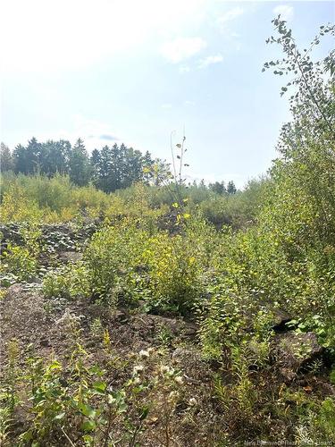 96 Hilltop Dr, Hampton, NB 