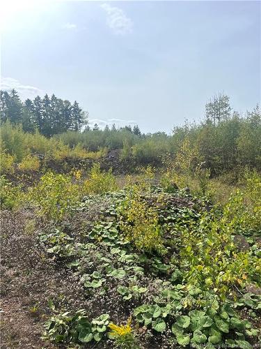 96 Hilltop Dr, Hampton, NB 