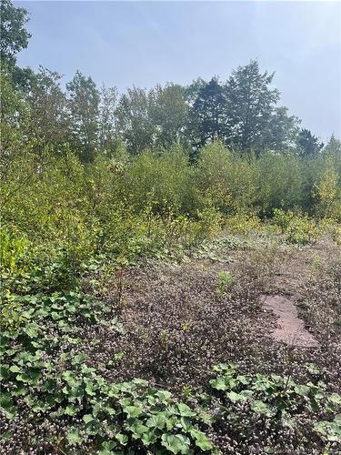 96 Hilltop Dr, Hampton, NB 