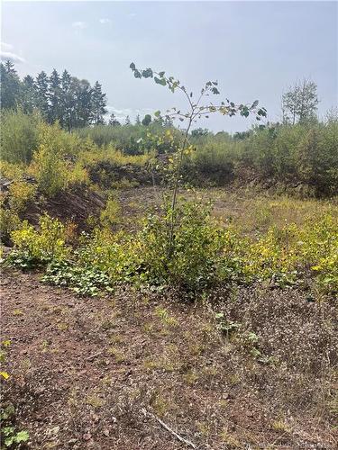 96 Hilltop Dr, Hampton, NB 