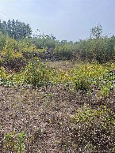 96 Hilltop Dr, Hampton, NB 