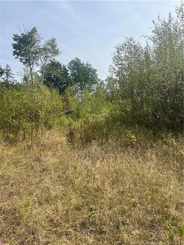 96 Hilltop Dr, Hampton, NB 