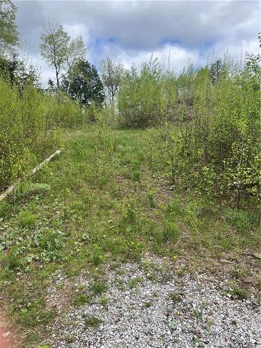 96 Hilltop Dr, Hampton, NB 