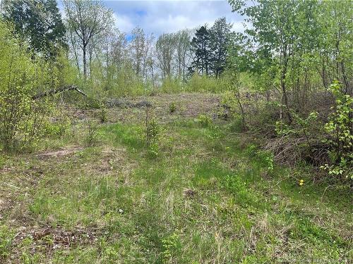 96 Hilltop Dr, Hampton, NB 