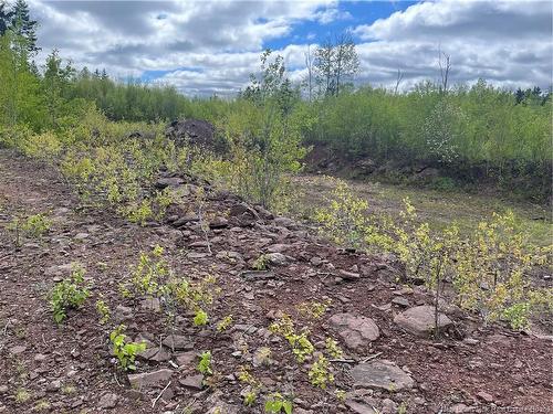 96 Hilltop Dr, Hampton, NB 