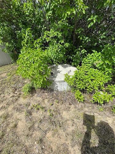 314 Main Street, Swan River, MB - Outdoor