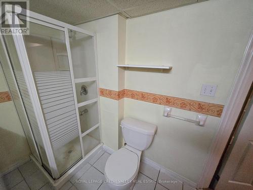 Bsmt - 15 Twin Pines Crescent, Brampton, ON - Indoor Photo Showing Bathroom