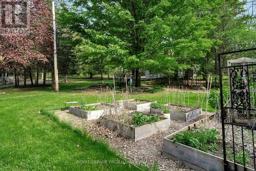 12112C Loyalist Parkway, Prince Edward County (Picton Ward), ON - Outdoor