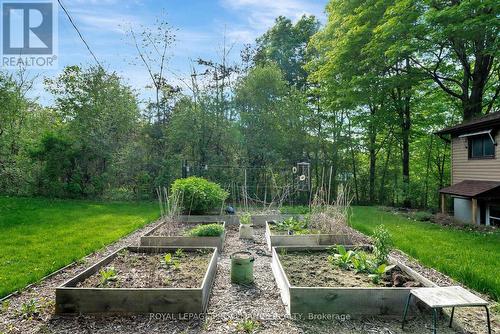 12112C Loyalist Parkway, Prince Edward County (Picton Ward), ON - Outdoor With Backyard