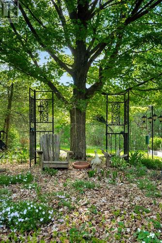 12112C Loyalist Parkway, Prince Edward County (Picton Ward), ON - Outdoor