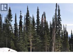 Pr. St Lt 8 ALPINE WAY Smithers, BC V0J 2N0