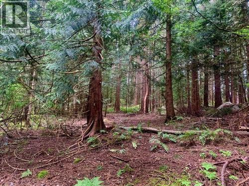 6237 Lund, Powell River, BC - Outdoor With View