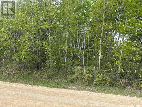 1 George Street, Big River, SK 