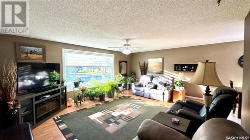 122 Hamilton Street, Davidson, SK - Indoor Photo Showing Living Room