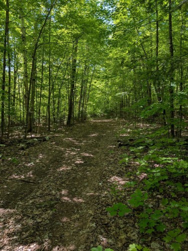 Terre/Terrain - Ch. Du Docteur, La Pêche, QC 
