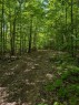 Terre/Terrain - Ch. Du Docteur, La Pêche, QC 