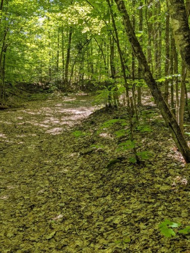 Terre/Terrain - Ch. Du Docteur, La Pêche, QC 