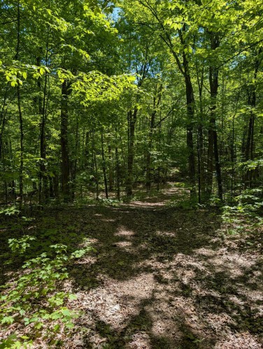 Terre/Terrain - Ch. Du Docteur, La Pêche, QC 
