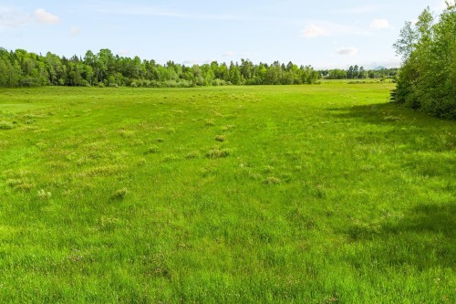 Terre/Terrain - Ch. De La Rivière-Aux-Cerises, Magog, QC 