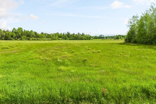 Terre/Terrain - Ch. De La Rivière-Aux-Cerises, Magog, QC 