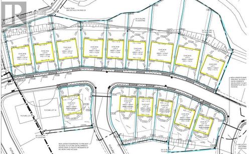 52 Yellow Wood Drive, Paradise, NL 