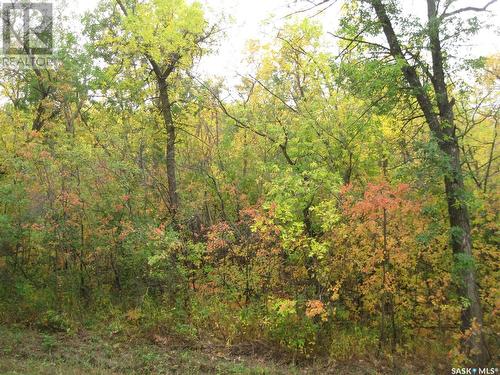 9 And 11 Qu'Appelle Park, B-Say-Tah, SK 