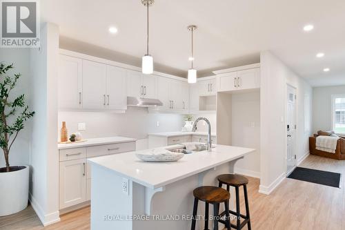 71 Harrow Lane, St. Thomas, ON - Indoor Photo Showing Kitchen With Upgraded Kitchen