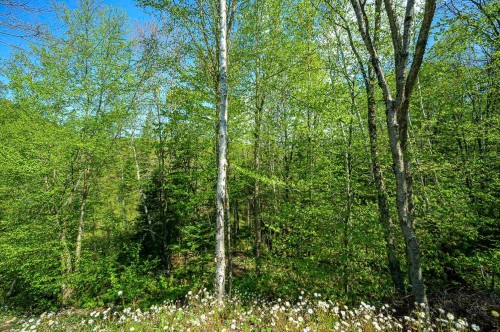 Photo aérienne - Ch. Kilpatrick, Saint-Sauveur, QC 