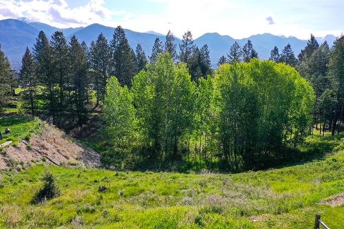 2161 Pinetree Place, Invermere, BC - Outdoor With View
