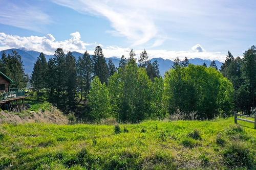 2161 Pinetree Place, Invermere, BC - Outdoor With View