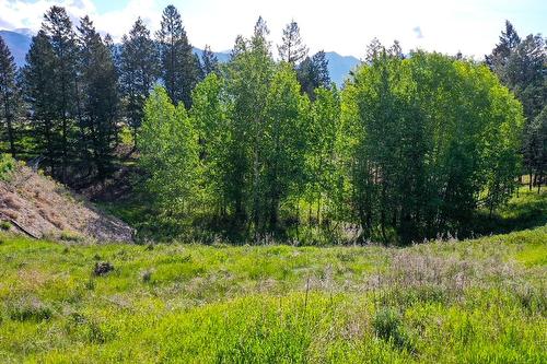 2161 Pinetree Place, Invermere, BC - Outdoor With View