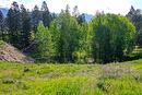 2161 Pinetree Place, Invermere, BC  - Outdoor With View 