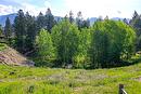 2161 Pinetree Place, Invermere, BC  - Outdoor With View 