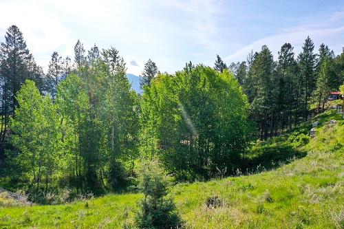 2161 Pinetree Place, Invermere, BC - Outdoor With View