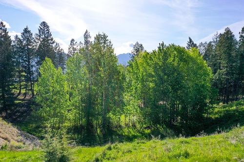 2161 Pinetree Place, Invermere, BC - Outdoor With View