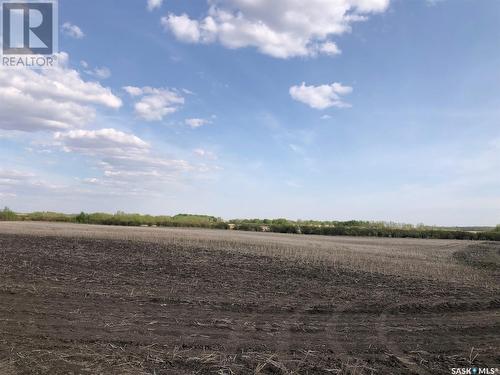 Flower Farm, Sasman Rm No. 336, SK 