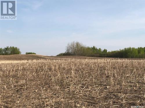 Flower Farm, Sasman Rm No. 336, SK 