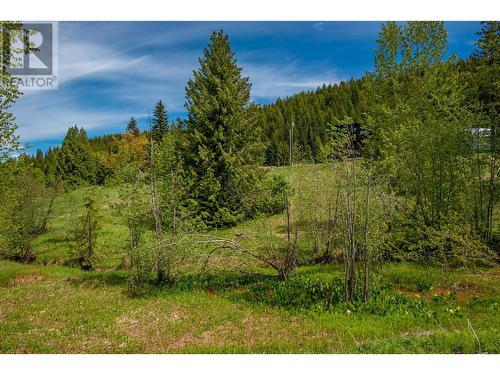 201 Joliffe Way, Rossland, BC 