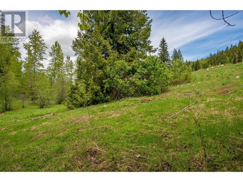 201 Joliffe Way, Rossland, BC 