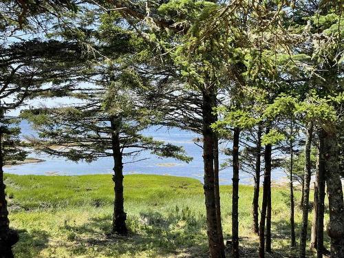 Lot 3 Slaterville Road, Eel Bay, NS 