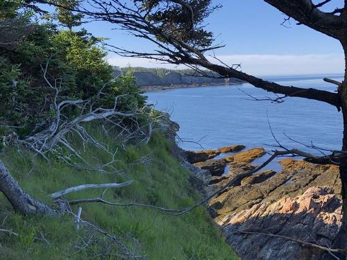 Lot 4B Pepperrell Road, Cape St Marys, NS 