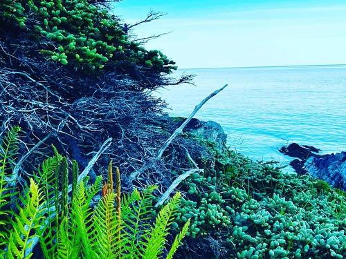 Lot 4B Pepperrell Road, Cape St Marys, NS 