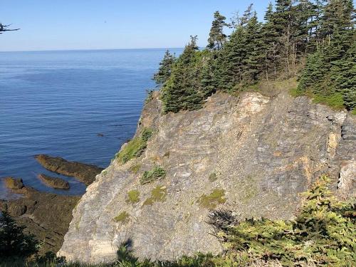 Lot 4B Pepperrell Road, Cape St Marys, NS 