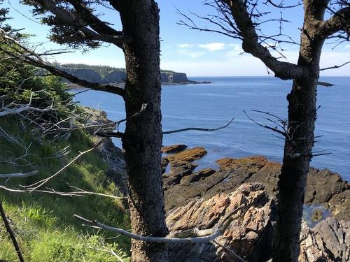 Lot 4B Pepperrell Road, Cape St Marys, NS 