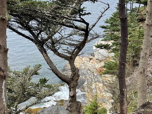 Lot 4B Pepperrell Road, Cape St Marys, NS 