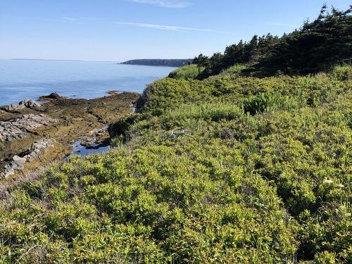Lot 4B Pepperrell Road, Cape St Marys, NS 